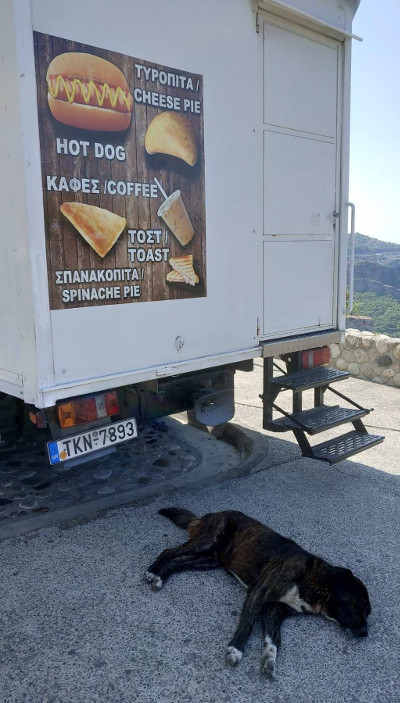 Hot Dog As It Is (the Meteora rocks, Kalabaka, the Trikala regional unit, Thessaly, Greece