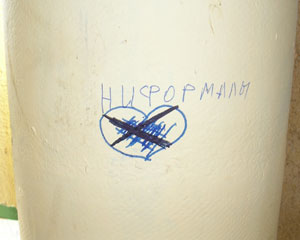 Ниформалы (Владимирская обл., Суздальский р-н, пос. Сокол)