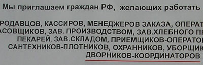 Дворник-координатор (г. Владимир) Дворник-координатор (г. Владимир)
