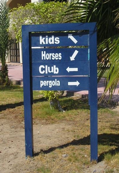 Kids Go There, Horses – Elsewhere (Hurghada, Egypt)