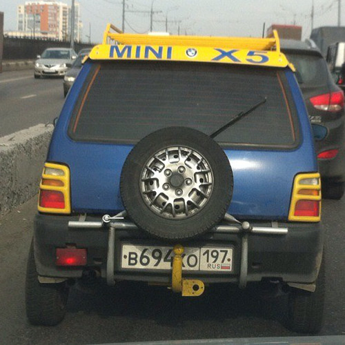 Мини BMW X5 (г. Москва)