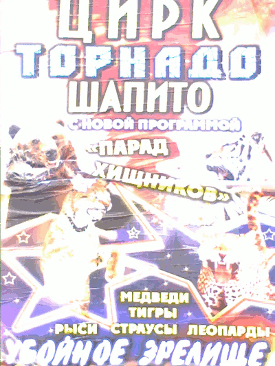 Убойное зрелище: страус – хищник! (г. Владимир)