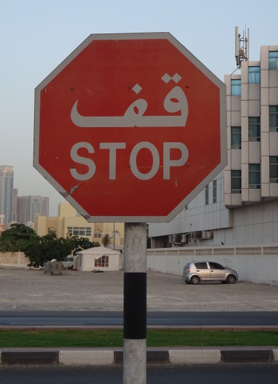 Stop! The Caterpillar Has Stopped and Is Watching Its Tail (Sharjah, UAE)