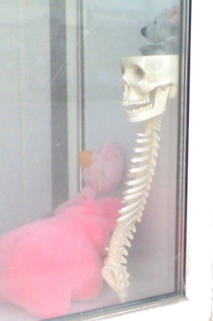 Skeleton Toy for Сhildren in a Dentist's Office (Vladimir, Russia)