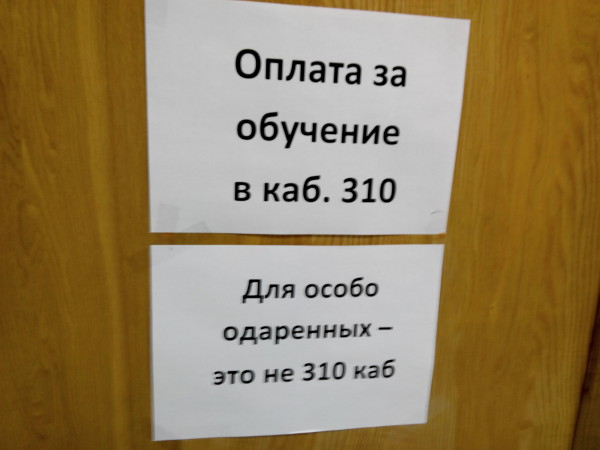 Оплата за обучение особо одарённых (г. Владимир)