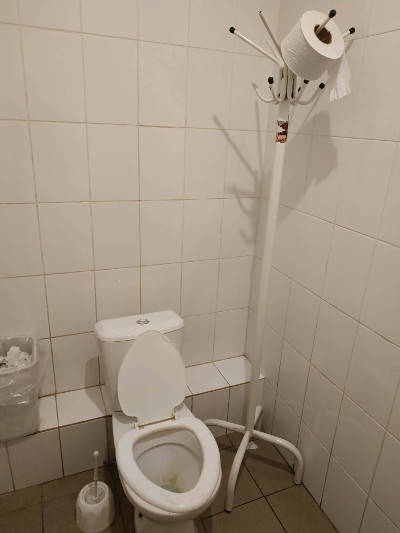 Toilet Paper on Hanger (Vladimir – Nizhny Novgorod highway, Russia)
