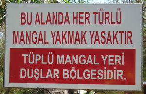 Tüplü (Турция)