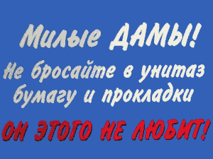 Он [унитаз] этого не любит! (г. Владимир)