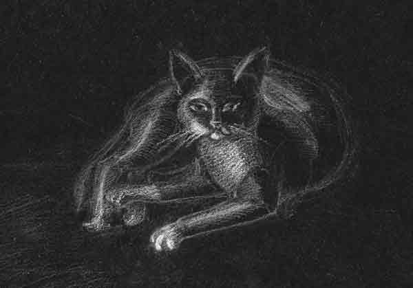 Чёрный кот 
(белый карандаш, 2003)