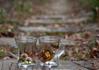 Cats Cups 
(glass painting, 2013)