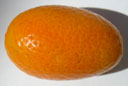 Кумкват (kumquat) снаружи