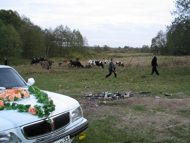Country Wedding