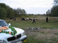 Деревенская свадьба