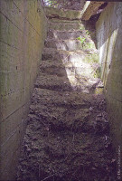 Forgotten Dungeon