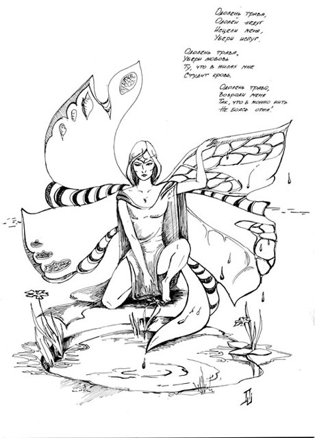 Moth 
(graphics, 2006)