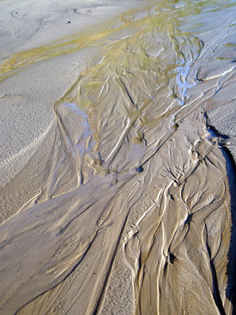 River Life Lines