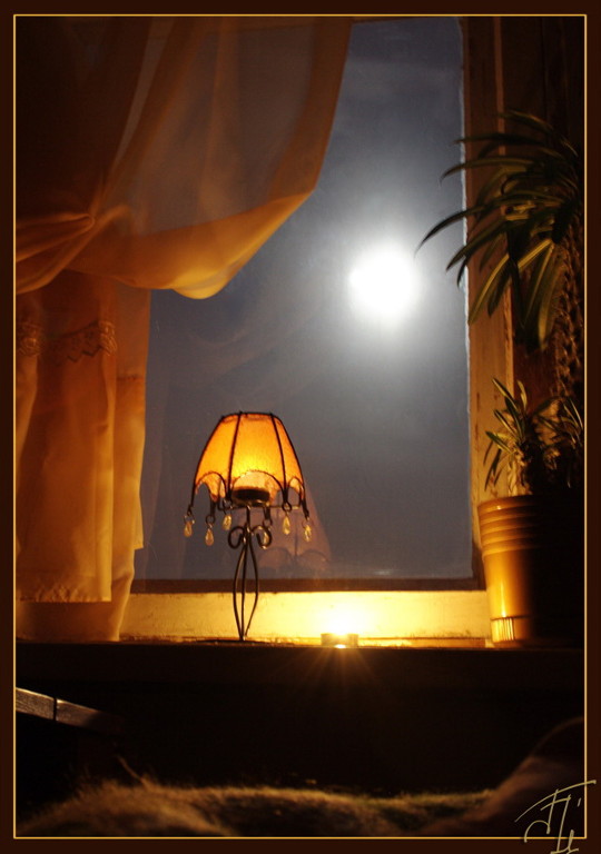 Shine of the Night