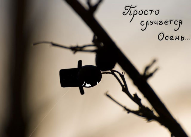 Autumn Happens…