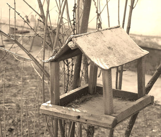 Bird House