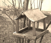 Птичий домик
