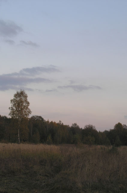 Загородный парк