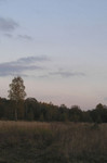 Загородный парк