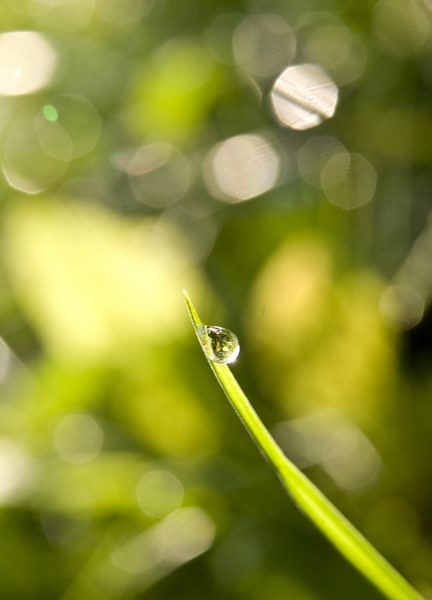 Drop