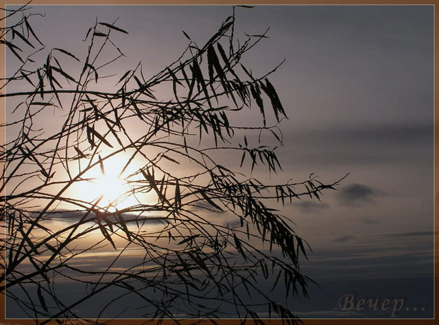 Evening…
