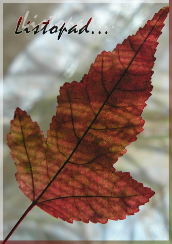 Listopad…#13;(Leaf Fall)