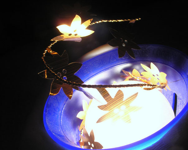 Light Growth
