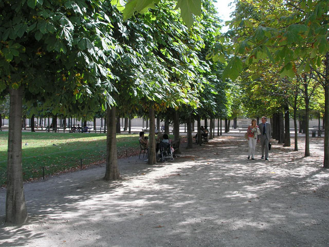 Near Louvre