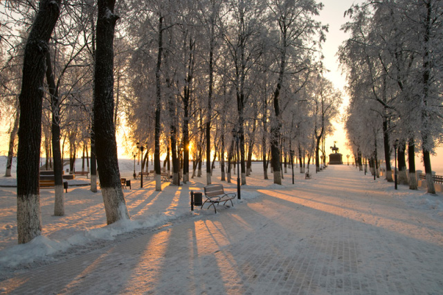 One More Winter Morning