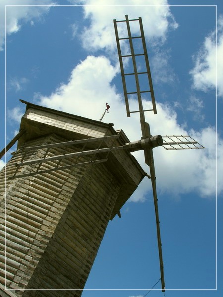 Quijote's Competitor
