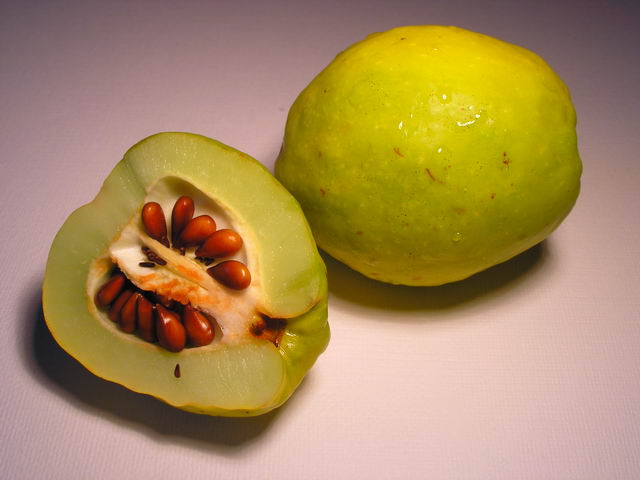 Quince