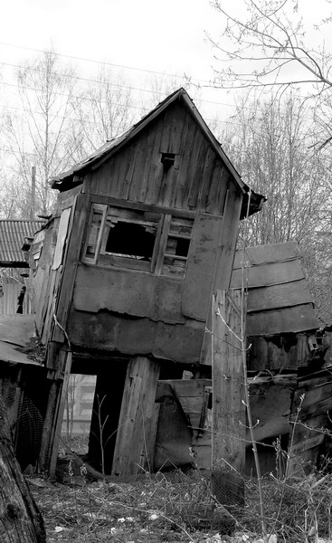 Shed