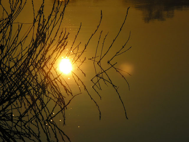 Sun Drop in Cold Water