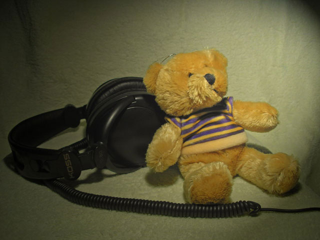 Teddy Bear