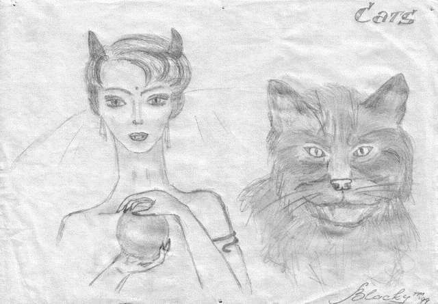 Cats
