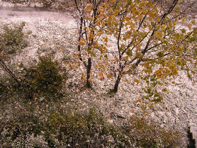 First Snow