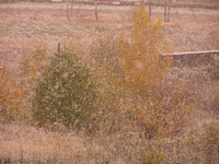 Покров