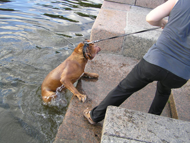 Swimming