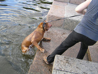 Swimming