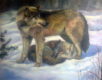 Волки 
(холст 120 х 100 см, масло; 2015 год)