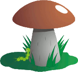 Mushroom