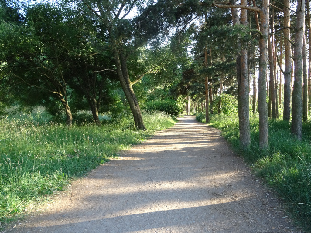 Alexandrino Alley