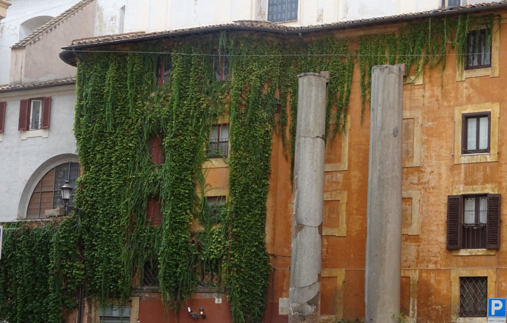 Ancient Roman, Italian, and Plant