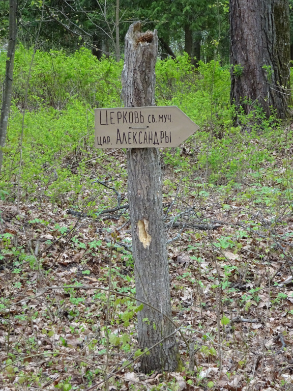 Authentic Natural Pointer