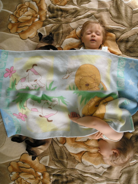 Baby Cat 
© My wife Yulia