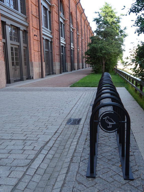 Bicycle Parking Guarded by a Seagull