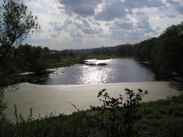 Bogolyubovo Oxbow